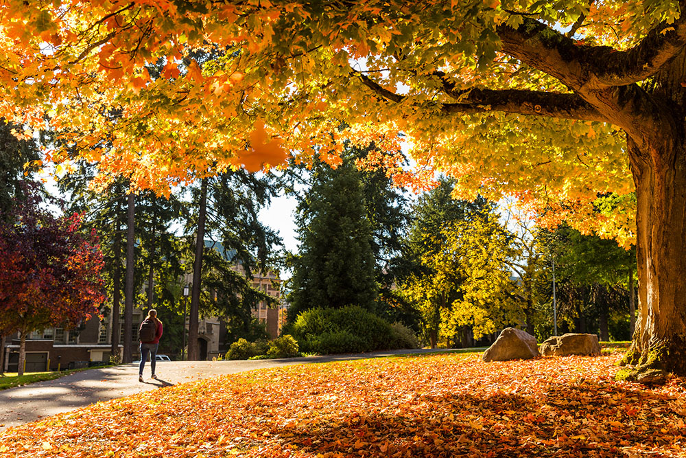 UW Undergraduate Advising: First-year student guide