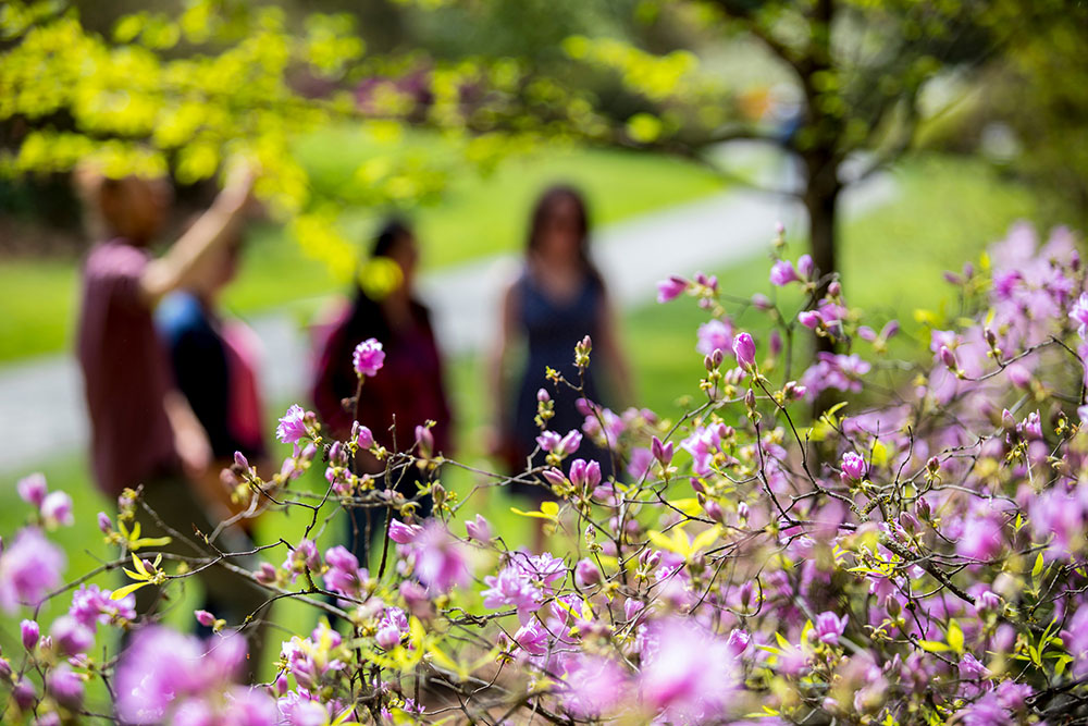 UW Undergraduate Advising: First-year student guide
